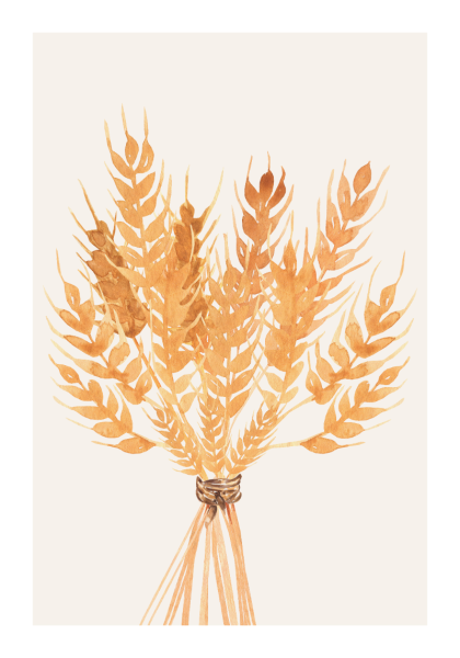 Колосья акварель