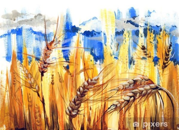 Колосок пшеницы акварель