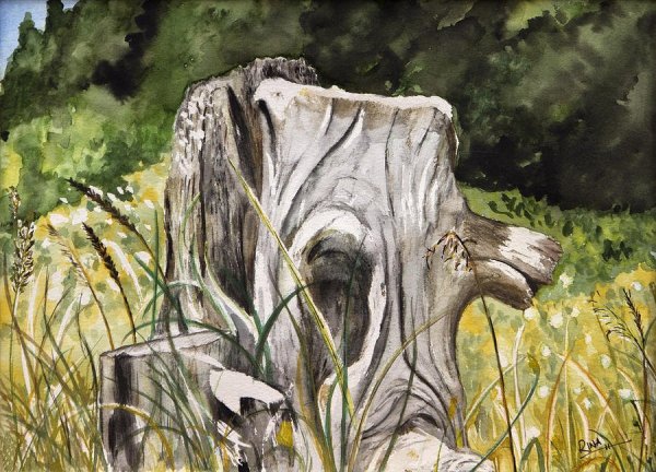 Шишкин Этюд пня