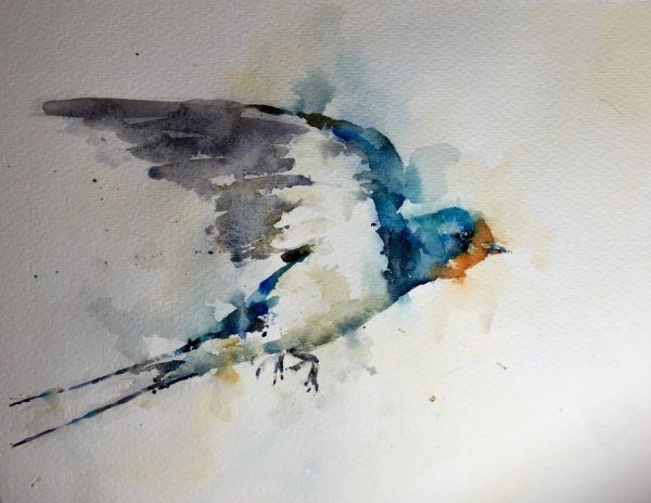 Птица летит акварель