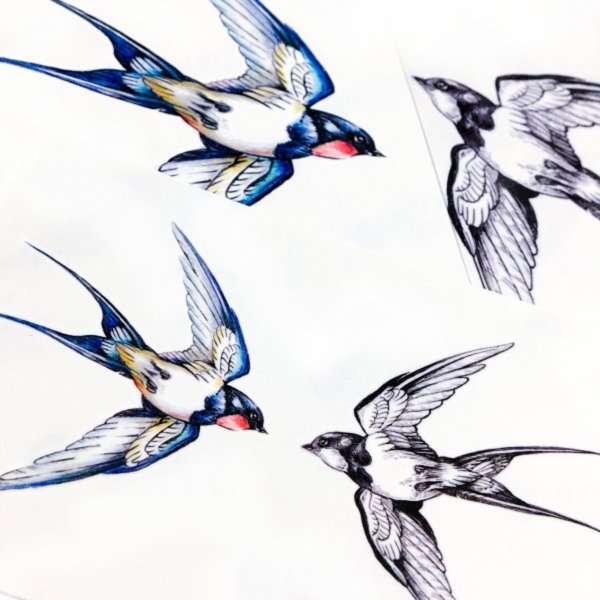 Ласточка Графика