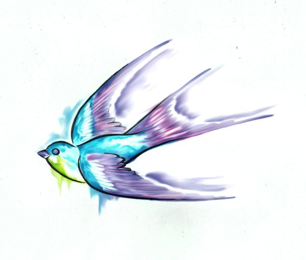 Нарисовать птицу