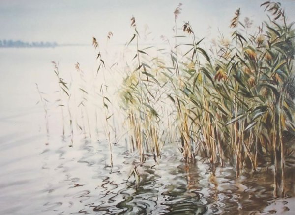Камыши Осока у реки в живописи