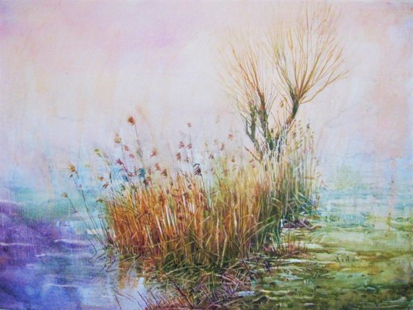 Тростник живопись