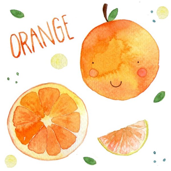 Долька апельсина акварель