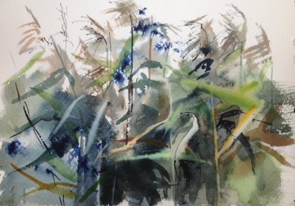 Тростник акварель