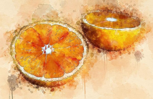 Апельсин акварелью