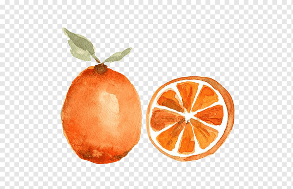 Скетчинг мандарины