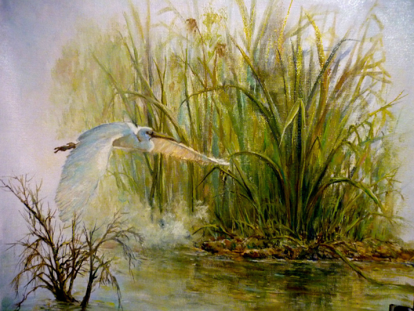 Художник Плесовских Елена Викторовна