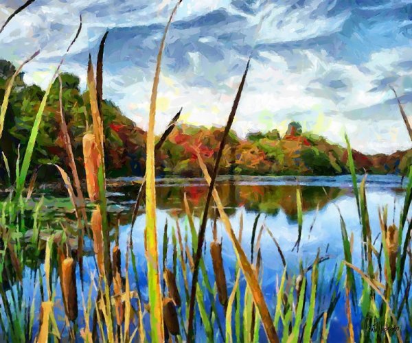 Камыш живопись