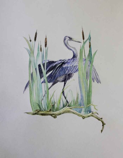 Журавли в камышах