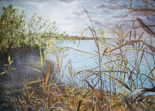 Камыши Осока у реки в живописи
