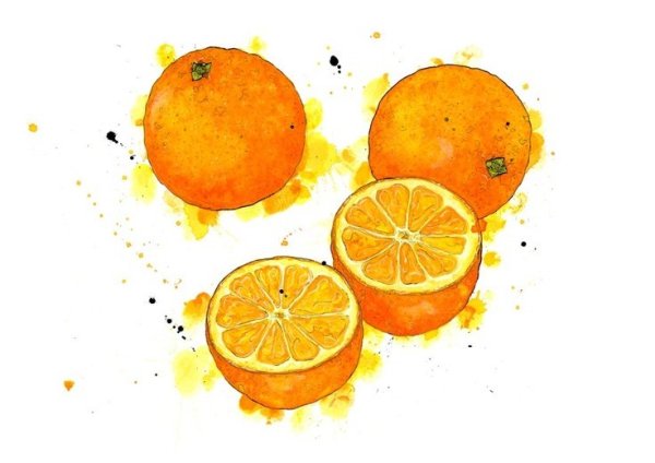 Разрезанные фрукты акварелью