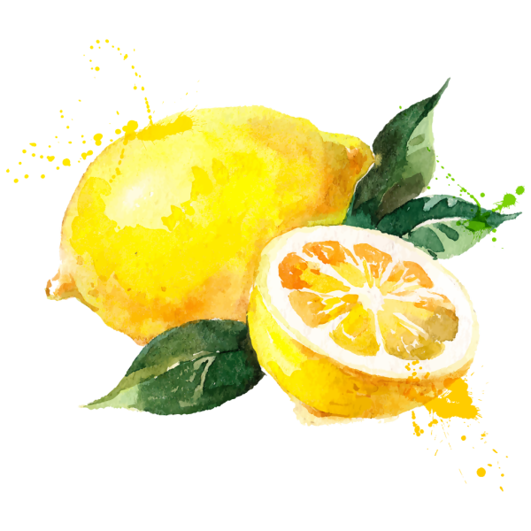 Дольки фруктов акварелью