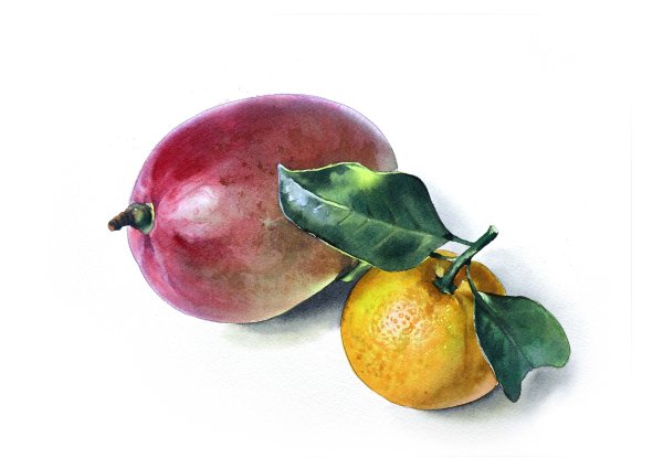 Нарисовать манго акварелью