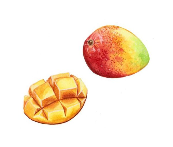 Манго фрукт акварель