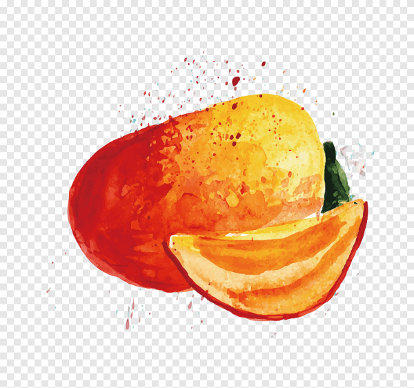 Манго фрукт акварель