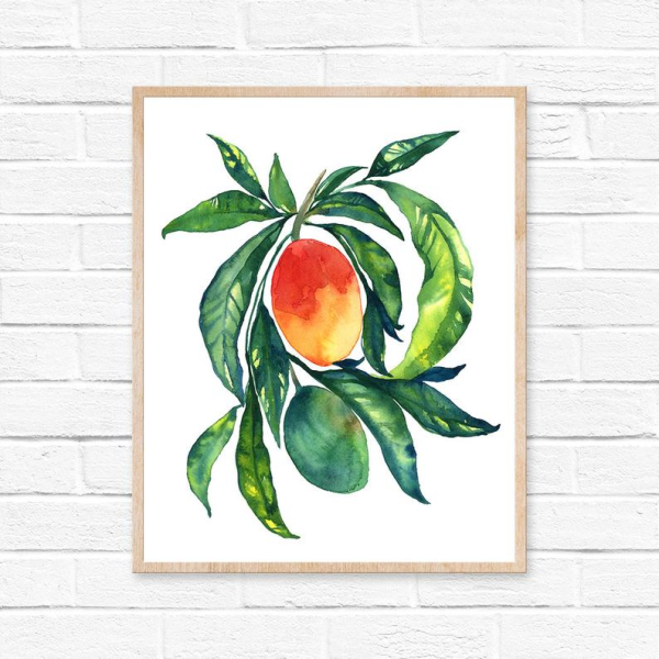 Манго фрукт акварель