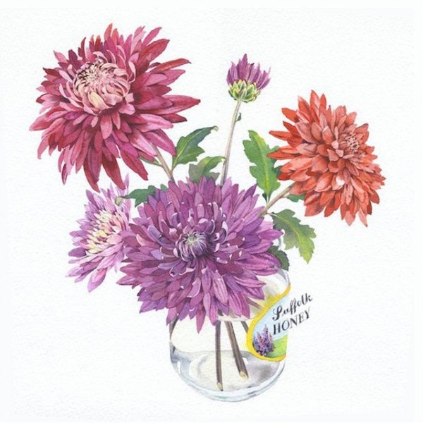 Акварельные астры без фона