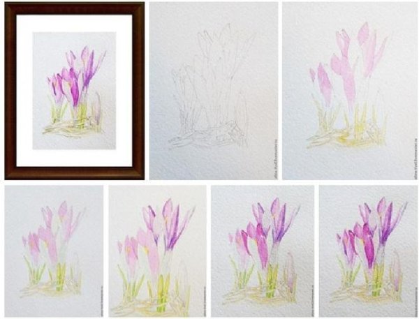 Рисование для начинающих цветов акварелью