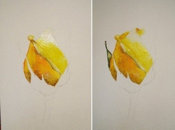 Акварель для начинающих пошагово