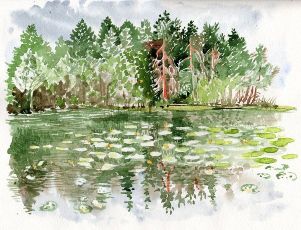 Лесные озёра аквварелью