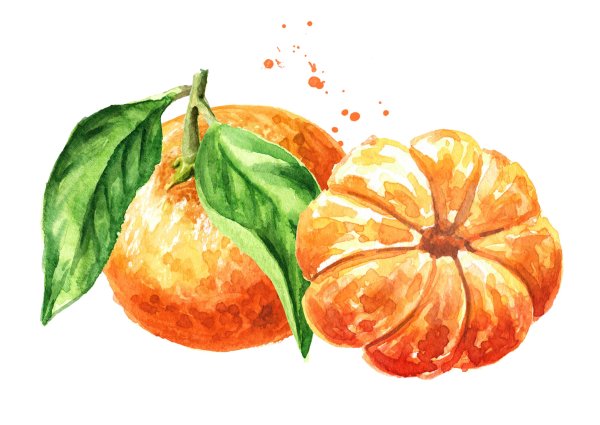 Мандарин картина на белом фоне