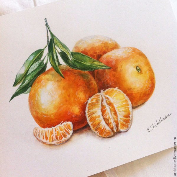 Мандарин акварелью