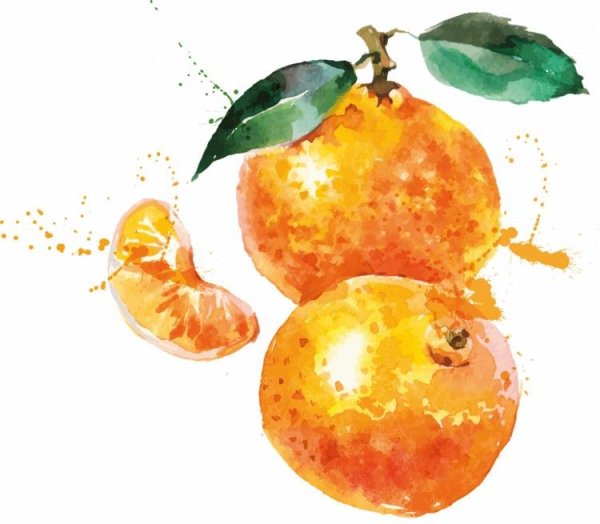 Апельсин акварелью