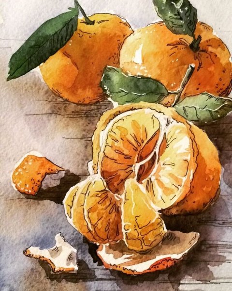 Скетчинг мандарины