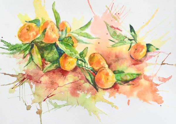 Этюд мандаринки акварель