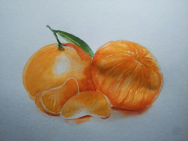 Мандарин акварелью