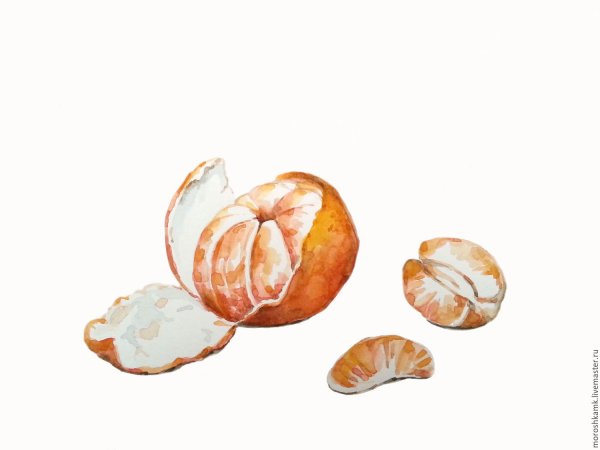 Долька мандарина акварель
