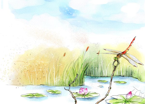 Стрекоза на камыше