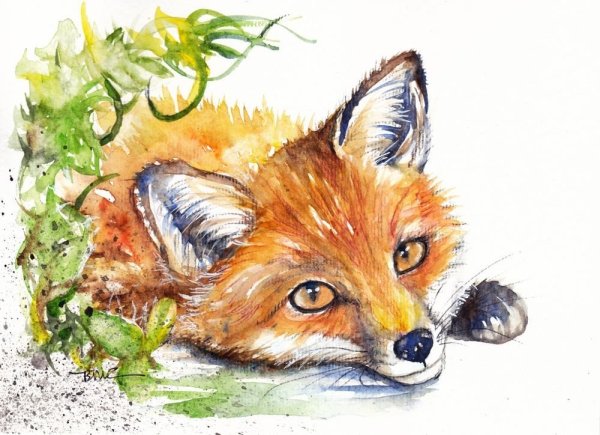 Лиса акварельными карандашами