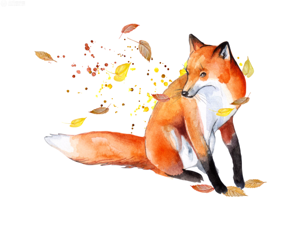 Лиса и Лисенок на белом фоне