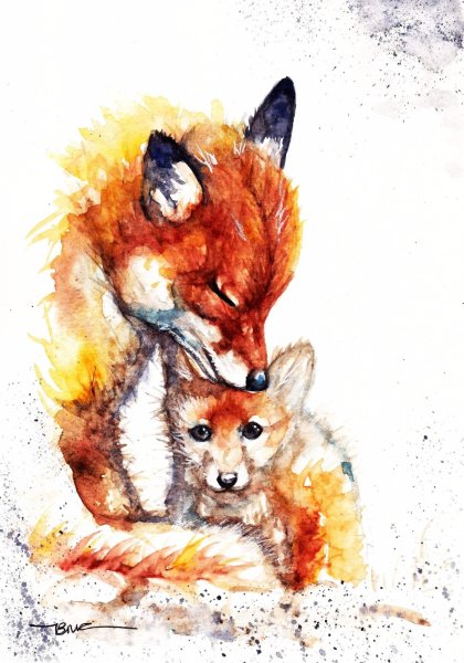 Лиса акварелью