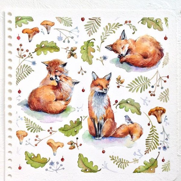 Семья лисиц акварелью