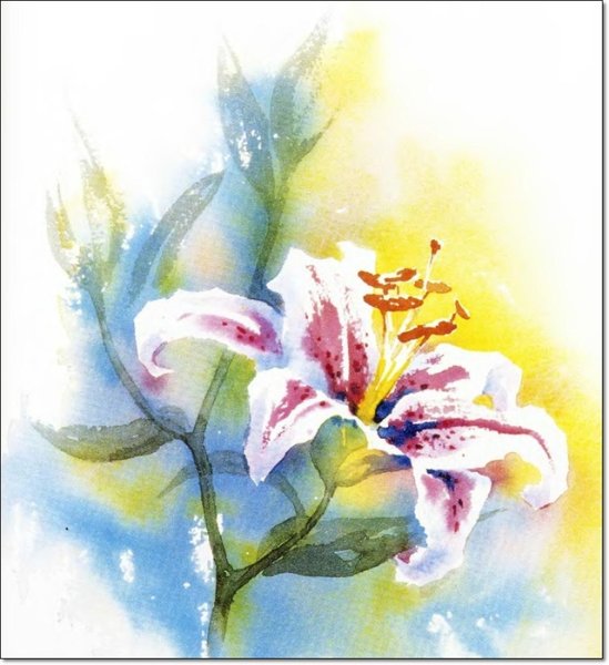 Лилии акварелью