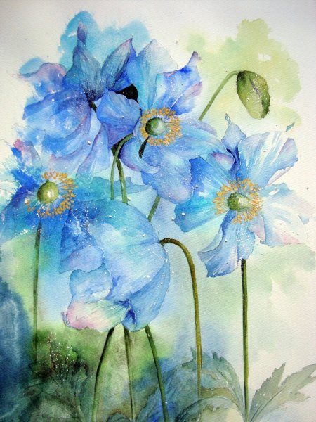 Ивонн Харри