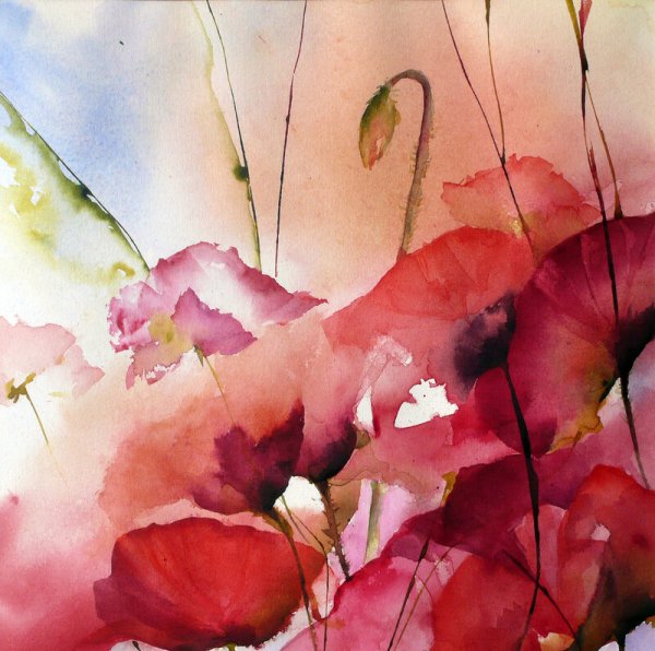 Французская акварелистка Veronique Piaser-moyen