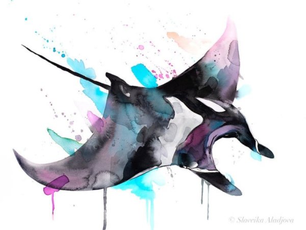 Скат Манта акварель