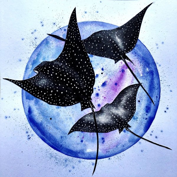 Скатах арты