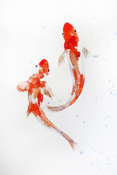 Японские рыбки акварель
