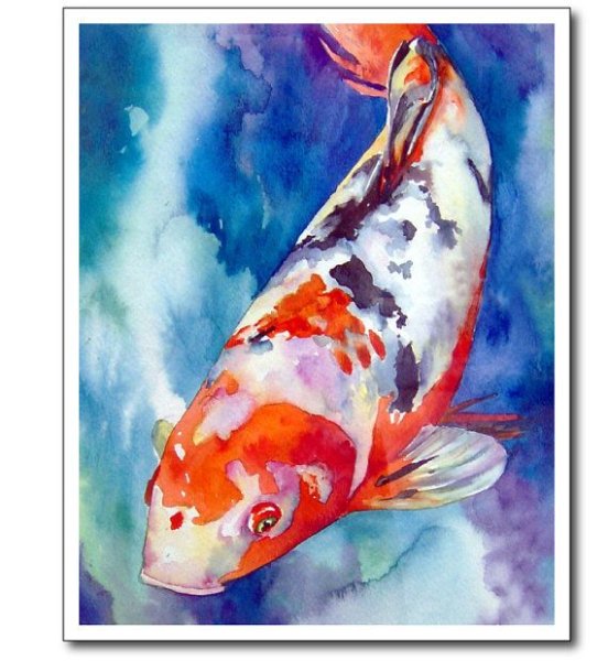 Рыбки кои акварель
