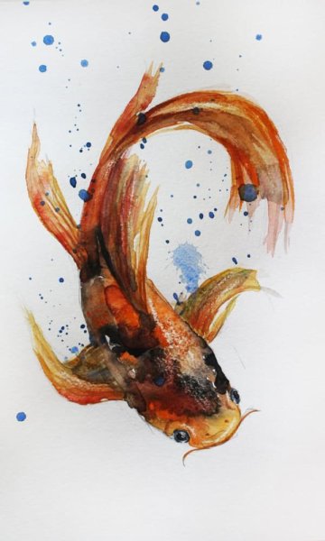 Японский Карп тату акварель