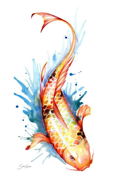 Карпы кои акварель