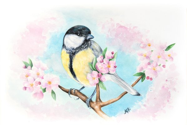 Весенние зарисовки