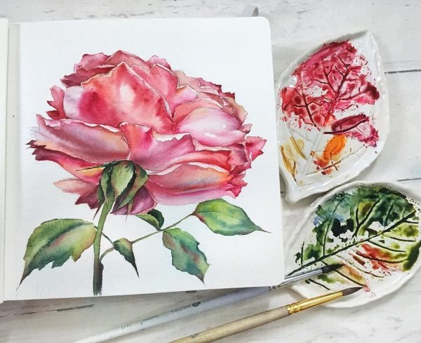 Тюльпаны акварелью для начинающих