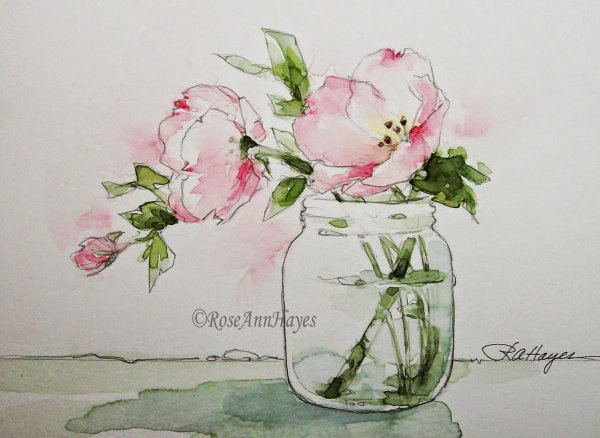 Цветы акварелью для срисовки